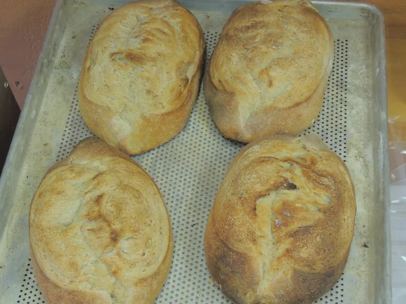 Sauerteig-Kruste 750 g